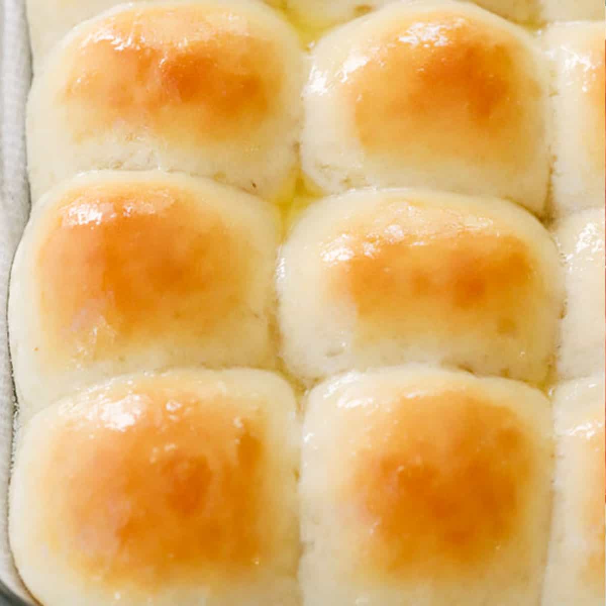 Homemade Quick Dinner Rolls: Fluffy & Tender in Under 60 Minutes